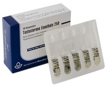 Hormonāli vīriešu potences stimulanti