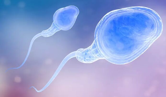 Spermatozoīdi var būt vīrieša preejakulātā